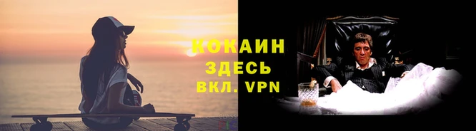 соль курить ск Белокуриха